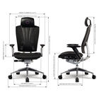 ERGO L