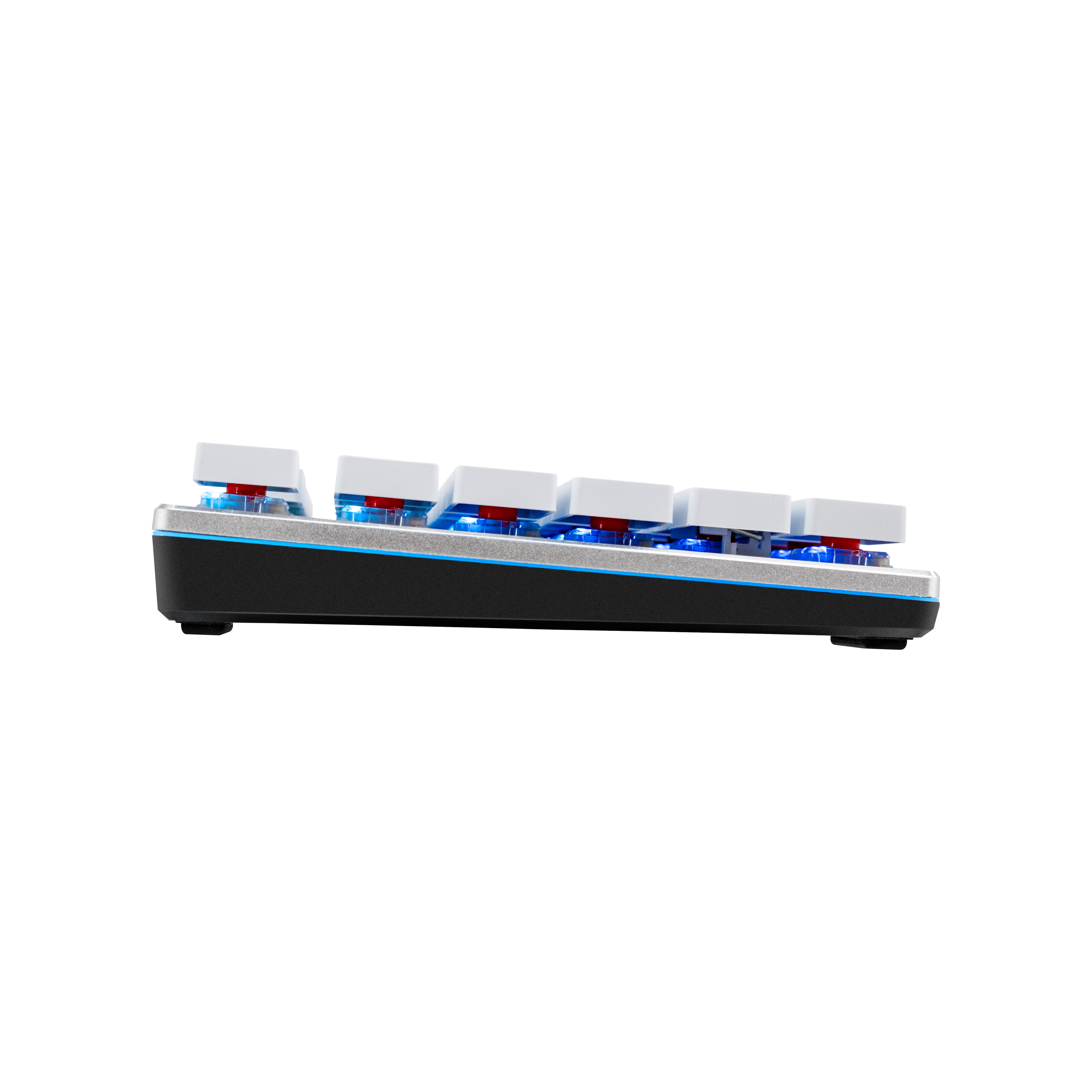 SK630 White Limited Edition Mechanical Keyboard image number 4